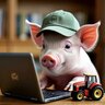 pig_petr