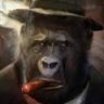EURO MONKEY CASH