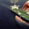 Megalodon Shark