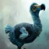 Dodo Obnal