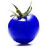Blue Tomato