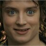 frodo_sumkin