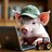 pig_petr