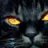 Catless
