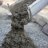 Beton